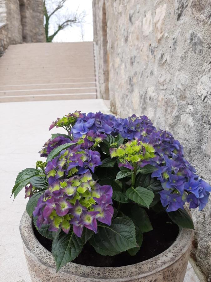 Vinica Castle Exterior foto